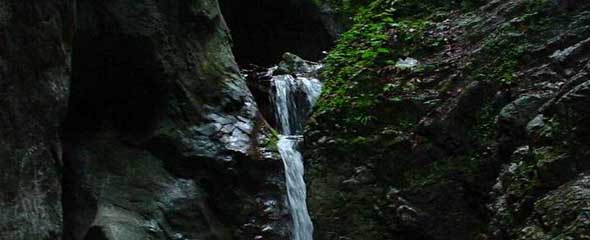 Canyon Creek - top. The Seven ladders creek.