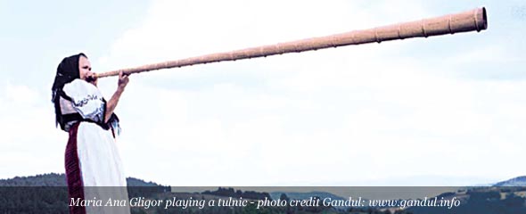 Woman Playing the Tulnic