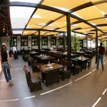 Taverna Sarbului Terrace