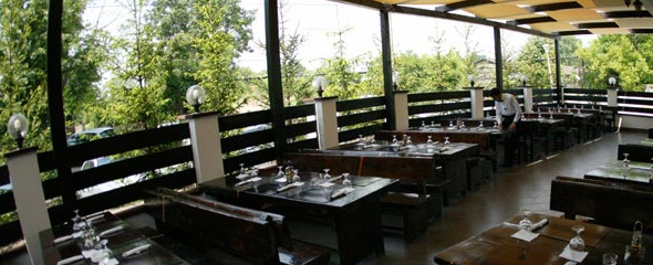 Taverna Sarbului [Photos]