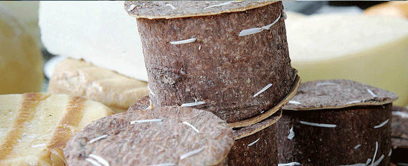 Brânza de burduf Brânza de burduf