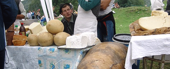 Cheese festival in Sibiu Cheese festival in Sibiu