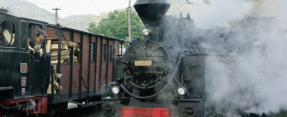 mocăniţă - front view