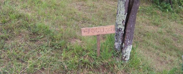 Sign to Focul Viu. Sign to Focul Viu.