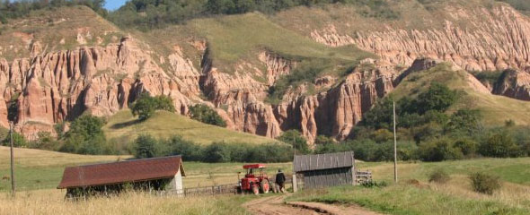 rapa rosie life rapa rosie life