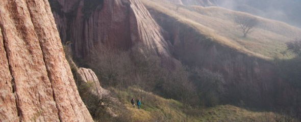 rapa rosie tourists rapa rosie tourists